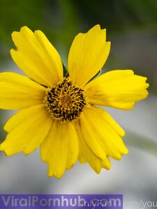 your_submissive_doll Onlyfans Leaks Nude Album - Latest leaks