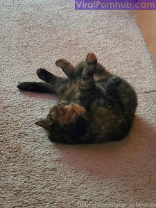 your_submissive_doll Onlyfans Leaks Nude Album - Latest leaks