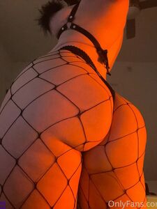 Tayler Hills Latest Onlyfans Premium Leaks