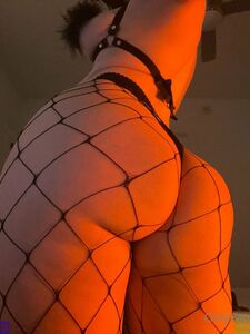 Tayler Hills Latest Onlyfans Premium Leaks